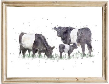 Belted Galloway Cow Print, 3 of 5