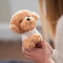 Personalised Poodle Soft Toy, thumbnail 4 of 6