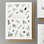Modern Botanical Christmas Cards Multi Pack, thumbnail 4 of 5