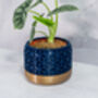 Midnight Honeycomb Planter, thumbnail 2 of 4