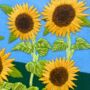 Sunflower Embroidery Kit, thumbnail 5 of 9