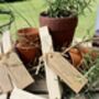 Sprig Topped Ceramic Plant Markers, thumbnail 7 of 7