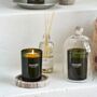Meraki Fig And Apricot Scented Candle, thumbnail 1 of 7