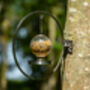 Douglas Sterling Bird Feeder, thumbnail 4 of 4