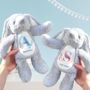 New Baby, New Sibling Personalised Soft Toy, thumbnail 6 of 7