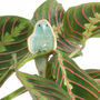 Budgie Plant Hugger Decorations, thumbnail 3 of 8