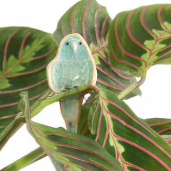 Budgie Plant Hugger Decorations, 3 of 8