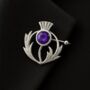 Sterling Silver Thistle And Amethyst Crystal Brooch, thumbnail 3 of 4