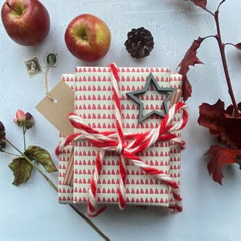 Red Stripe Paper Fibre Wrapping Paper Set, 12 of 12