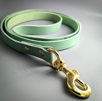 Personalised Leather Dog Lead, 7 of 12