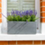 Small Window Box Planter In Parisian Grey, thumbnail 2 of 2