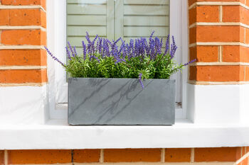 Small Window Box Planter In Parisian Grey, 2 of 2