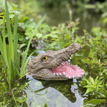 Mr Snappy Crocodile Head Pond Ornament, 2 of 6