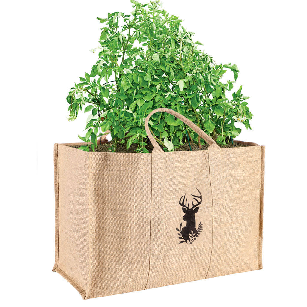Personalised Eco Friendly Jute Garden Grow Bag By Dibor