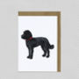 Illustrated Labradoodle Blank Card, thumbnail 1 of 2