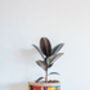 African Patchwork Fabric Plant Pot Holder, thumbnail 2 of 6