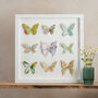 Nine Personalised Map Location Butterfly Wall Art, thumbnail 1 of 10