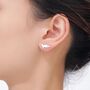 Cute Fox Stud Earrings In Sterling Silver, thumbnail 1 of 12