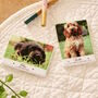 Personalised Pet Ceramic Magnet, thumbnail 1 of 4