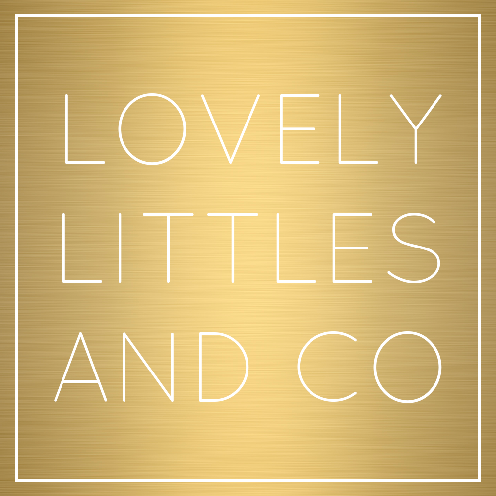 lovely littles and co storefront