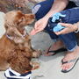 Waterproof Dog Treat Bag, thumbnail 6 of 6