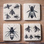 Set Of Bee Coasters, thumbnail 4 of 4