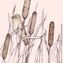 'Reed Warbler' Print, thumbnail 3 of 3