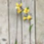 Two Stems Yellow Wildflower Garden Sculptures Art050ylw, thumbnail 8 of 11