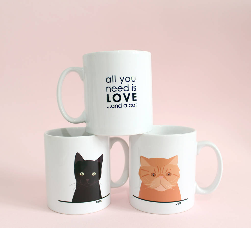 Personalised ‘All You Need Is Love And A Cat’ Mug By Heather Alstead Design