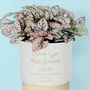 Personalised New Baby Indoor Plant Pot, thumbnail 1 of 6