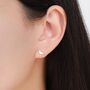 Mismatched Fox And Crow Stud Earrings In Sterling Silver, thumbnail 4 of 12
