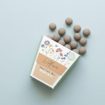 Wildflower Seed Balls Mini Gift Box, 3 of 3