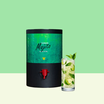 Mojito Premium Cocktail Gift, 4 of 4
