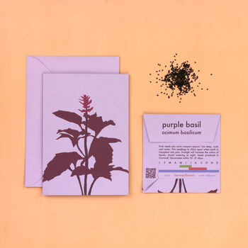 Illustrated Greetings Card With Purple Basil Seeds, 2 of 5