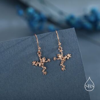 Sterling Silver Tiny Frog Drop Hook Earrings, 3 of 11