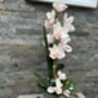 Large Pink Cymbidium Orchid In Gold Bowl, thumbnail 5 of 8