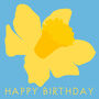 Daffodil Illustrated Birthday Card, thumbnail 3 of 3