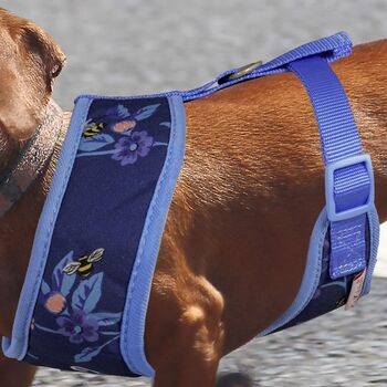 Personalised Greenwich Flowers Pet Harness, 3 of 4