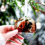 First Christmas Together Couples Tree Decoration, thumbnail 7 of 10