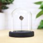 Lunar Meteorite Bell Jar Real Authentic Space Meteor Fragment Museum Quality Natural History Interior Design Home Decor Display Gift Ornament, thumbnail 1 of 4