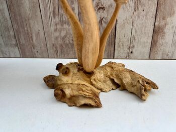 Wooden Mushroom Statue Teak Root Toadstool Nature Gift, 7 of 10