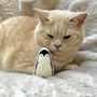 Penguin Catnip Toy, thumbnail 4 of 4
