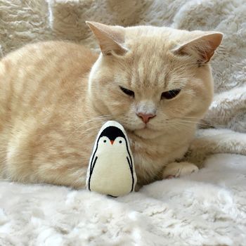 Penguin Catnip Toy, 4 of 4