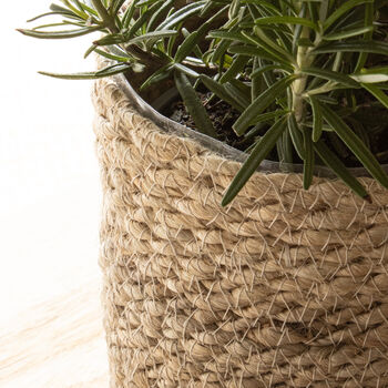 Pale Jute Plant Pot, 3 of 4