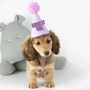 Custom Colour Goodest Girl Party Hat, thumbnail 1 of 7