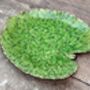 Green Alchemille Leaf Plate, 18cm, thumbnail 1 of 4