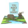 You Make Me Horny! 3D Rhinos Pop Up Silly Funny Anniversary Love Card, thumbnail 7 of 9