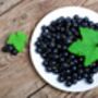 Blackcurrant Plants, 'Ben Sarek', thumbnail 12 of 12