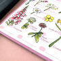 Wildflowers Spotting Journal Notepad, thumbnail 5 of 11