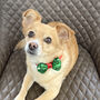 Festive Sequin Dog Bow Tie, thumbnail 1 of 3